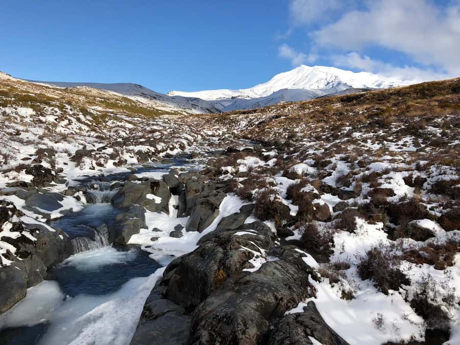 Tongariro National Park: Pre-Sunset Guided Walking Tour - Starting at Whakapapa Visitor Centre