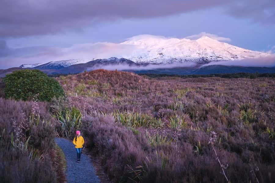 Tongariro National Park: Pre-Sunset Guided Walking Tour - The best fit for this experience