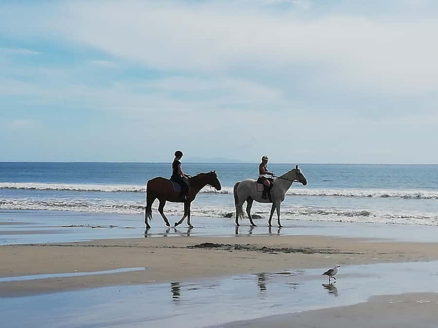 Tour of the Bay, Te Puna Sculpture Park and Historic Village - A relaxed pace, with limits worth knowing