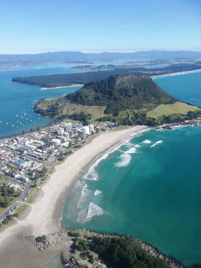 Tour of the Bay, Te Puna Sculpture Park and Historic Village - Is $77 good value?