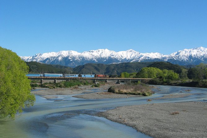 Tranz Alpine Train Tour - Key points to know before you book