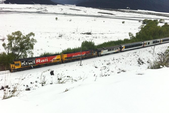 Tranz Alpine Train Tour - Why this Christchurch day trip works