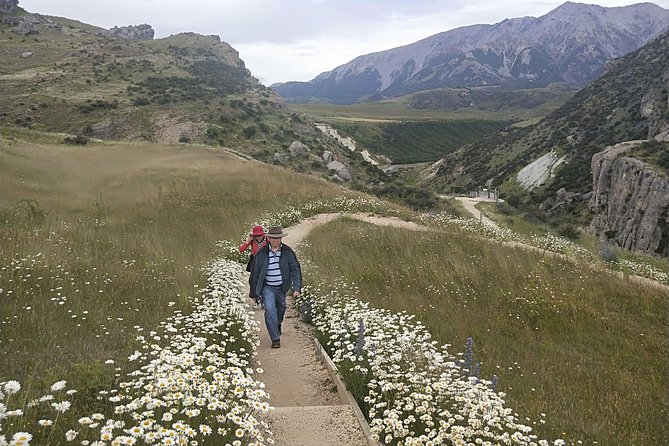 Tranz Alpine Train Tour - A homemade picnic in the mountains