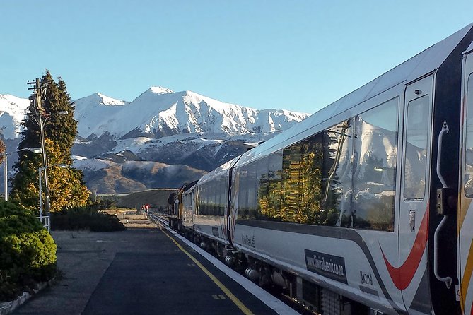TranzAlpine Train Journey: Christchurch to Greymouth - Café carriage, picnics, and dietary needs