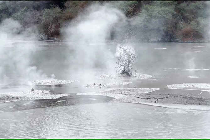 TRIPLE DEAL Wai-O-Tapu, Redwood Forest & Blue Springs Ex Auckland - Blue Spring at Putāruru