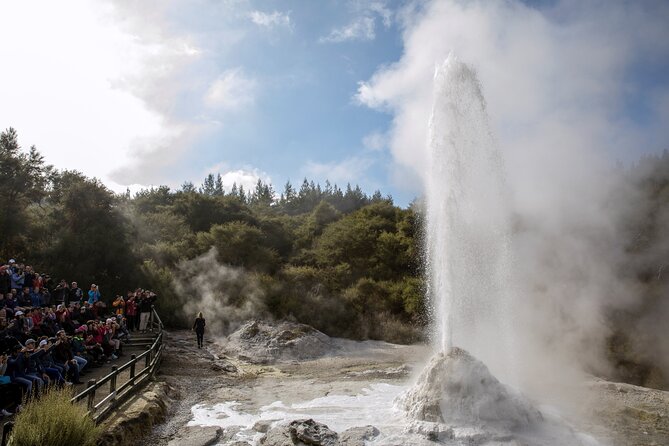 TRIPLE DEAL Wai-O-Tapu, Redwood Forest & Blue Springs Ex Auckland - Food, Breaks, and the Reality of a 12-Hour Schedule