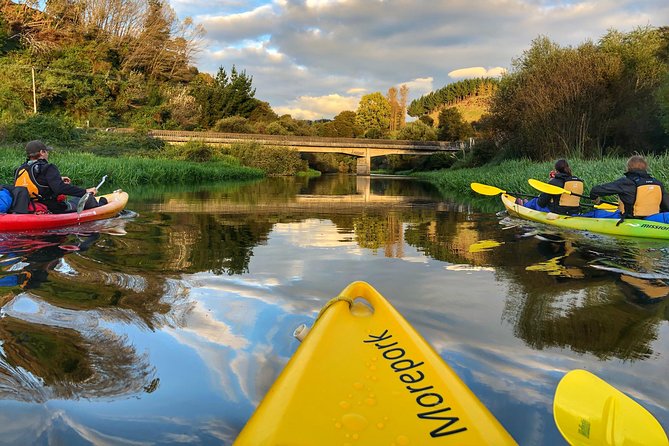 Twilight Glowworm Kayak Tour – Lake Karapiro - From 362 Horahora Road to the water