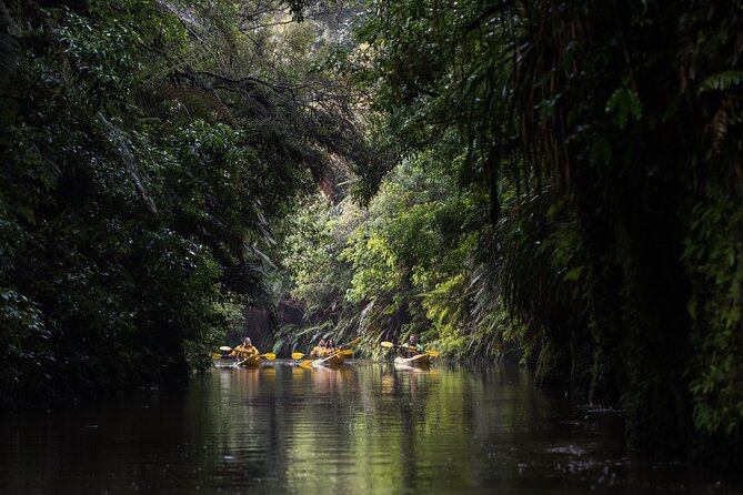 Twilight Glowworm Kayak Tour – Lake Karapiro - The glowworm paddle after dark