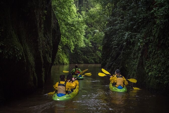 Twilight Glowworm Kayak Tour – Lake Karapiro - What the guides add to the experience
