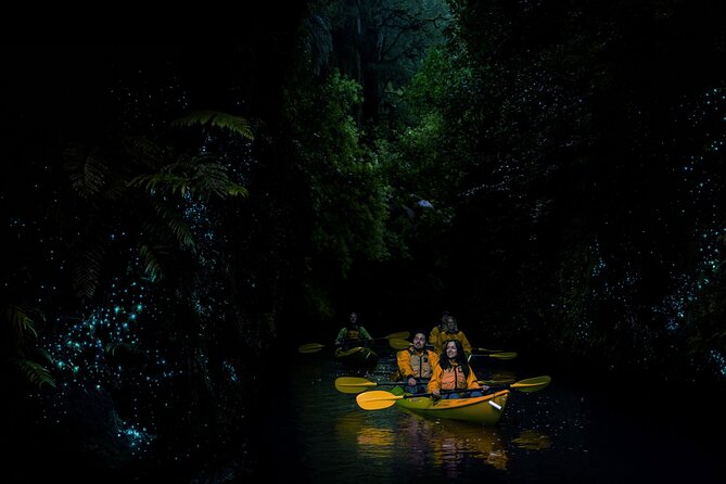 Twilight Glowworm Kayak Tour – Lake Karapiro - Equipment, comfort, and physical effort