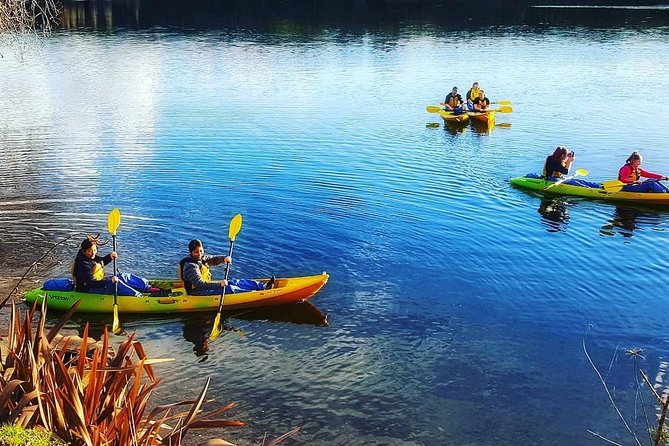 Twilight Glowworm Kayak Tour – Lake Karapiro - The Pokaiwhenua Stream and its carved rock walls