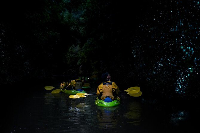 Twilight Kayak Glowworm Tour with Stargazing - Paddling through Pokaiwhenua Canyon