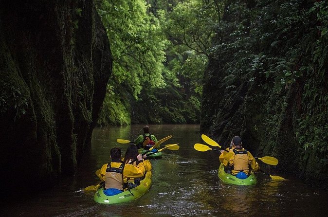 Twilight Kayak Glowworm Tour with Stargazing - Stargazing and the return journey