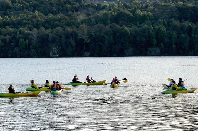 Twilight Kayak Glowworm Tour with Stargazing - Who should choose this Auckland day trip?
