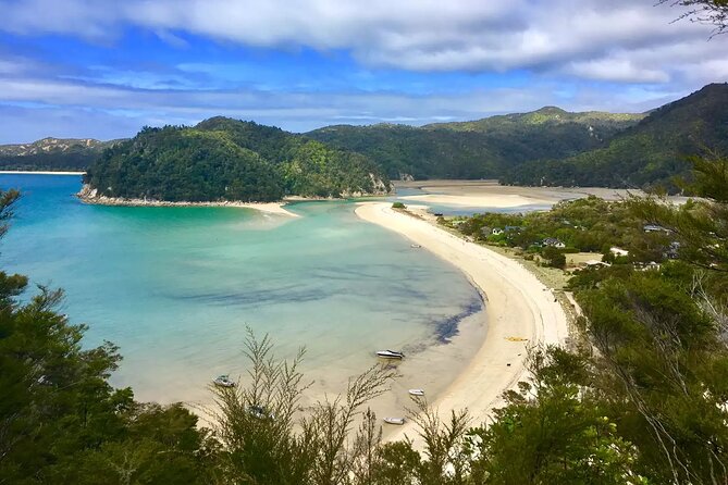 Twilight Wild Kiwi Bird Encounter Private Tour - Entering Tāwharanui Regional Park after dark