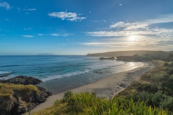 Twilight Wild Kiwi Bird Encounter Private Tour - What the guides add to the evening