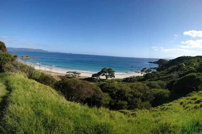 Twilight Wild Kiwi Bird Encounter Private Tour - The $589.54 price and what you receive