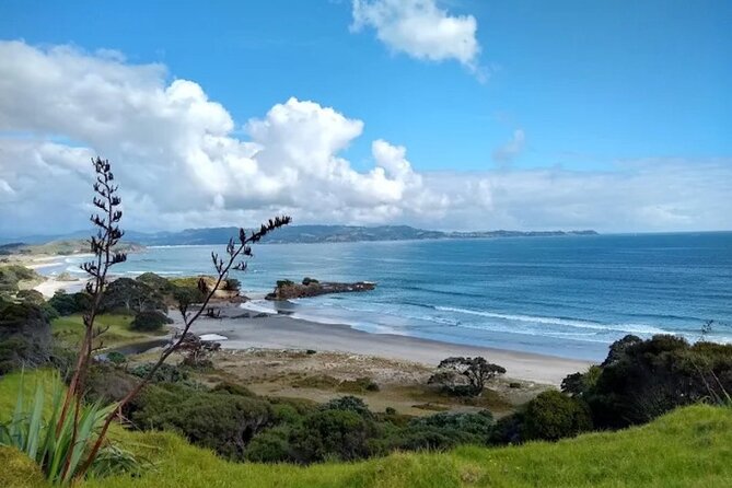 Twilight Wild Kiwi Bird Encounter Private Tour - Weather, timing, and practical comfort