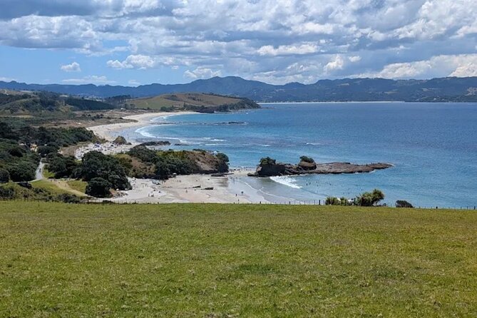 Twilight Wild Kiwi Bird Encounter Private Tour - Who should book this private kiwi tour?