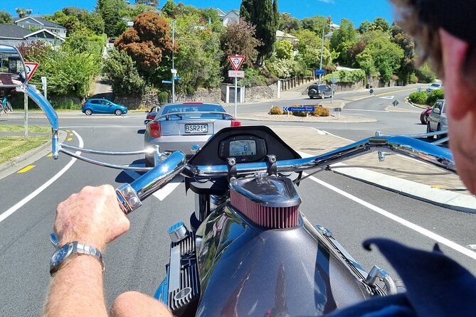 V8 Trike Private Tour of Christchurch - Hagley Park gives the ride breathing room