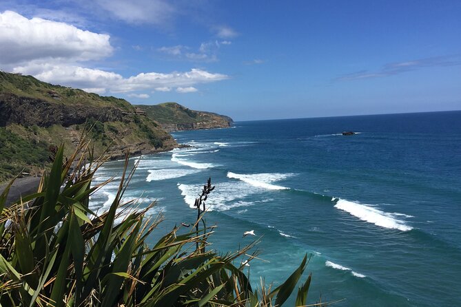 Vineyards Honey and Black Sand Beaches from Auckland - Westbrook Winery in the Ararimu Valley