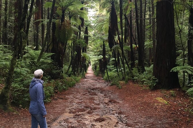 Volcanic Rotorua Day Trip from Auckland - What the small group changes