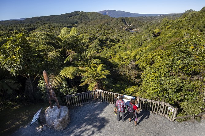 Volcanic Valley Self Guided Walking and Hiking at Waimangu - Frying Pan Lake and the Valley’s Main Sights