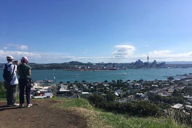 Volcanoes, Coasts, and Secret Spots Afternoon Tour in Auckland - Why this half-day Auckland tour works so well