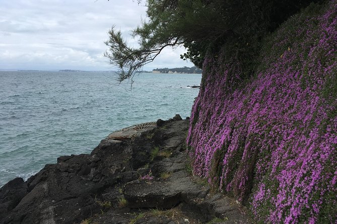 Volcanoes, Coasts, and Secret Spots Afternoon Tour in Auckland - A quick look at Devonport village