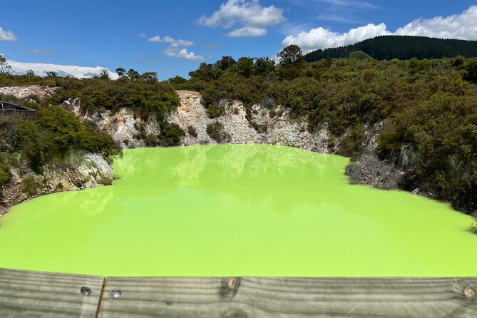 Wai-O-Tapu and Te Puia Day Trip Transport from Auckland - Leaving Rotorua at 2:30pm