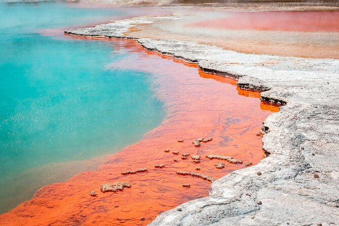 Wai-O-Tapu Thermal Wonderland, Rotorua, New Zealand - Key things to know before you go