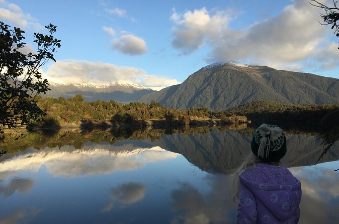 Waiatoto River Safari - Rainforest access beyond the riverbank