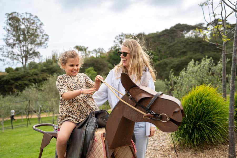 Waiheke Island: Ferry & Hop-On Hop-Off Explorer Bus Tickets - Getting from Auckland to Waiheke by ferry