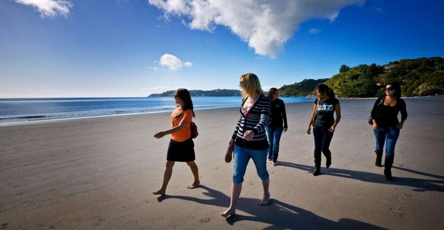 Waiheke Island: Ferry & Hop-On Hop-Off Explorer Bus Tickets - Wineries at Batch, Mudbrick, Cable Bay, and beyond