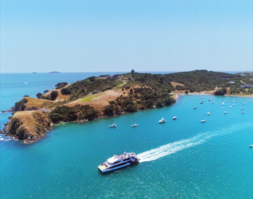 Waiheke Island: Ferry & Hop-On Hop-Off Explorer Bus Tickets - What the $59 price really gets you