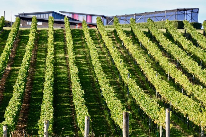 Waiheke Island - Fly and Dine (from North Shore Airport) - How the staff shape the experience