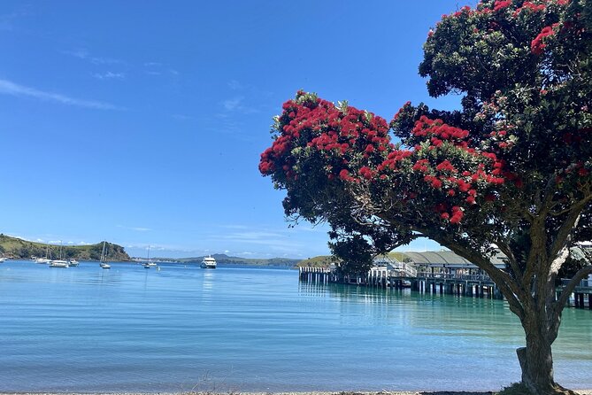 Waiheke Island Gourmet Food and Wine Tour - Why Waiheke makes a good food-and-wine day