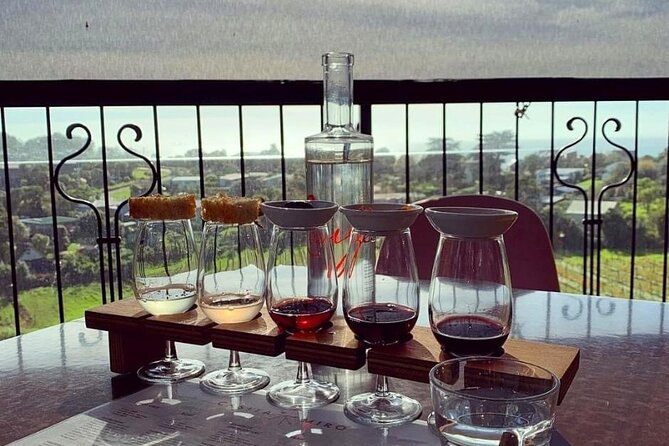 Waiheke Island Gourmet Food and Wine Tour - Who should book this island tour?