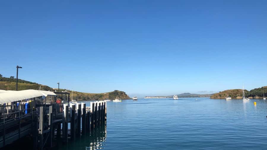 Waiheke Island Gourmet Food and Wine Tour with Lunch - Rangihoua Estate and the island’s olive oil