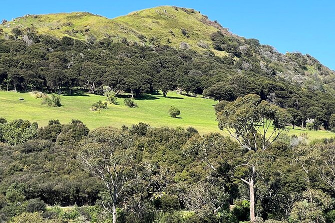 Waiheke Island History and Heritage Tour - Piritahi Marae and living Māori culture