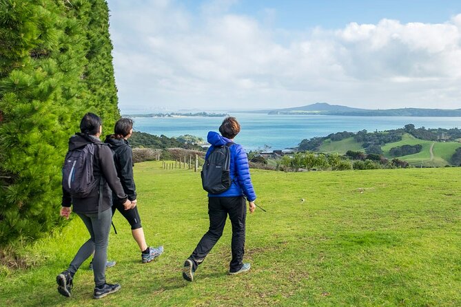 Waiheke Island History and Heritage Tour - Native bush, medicinal plants, and a pa site