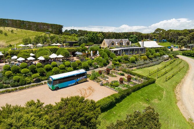 Waiheke Island Hop-On Hop-Off Explorer Bus - What this Waiheke day actually feels like