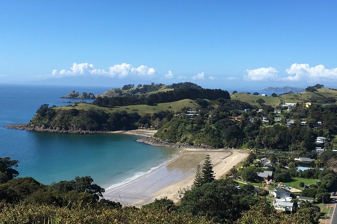 Waiheke Island Hop-On Hop-Off Explorer Bus - Stops 3 and 12: Goldie and Kennedy Point Vineyards