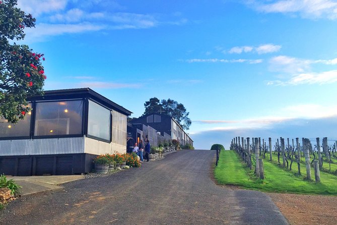 Waiheke Island Premium Wine Tour with Tastings - Key things to know before you book