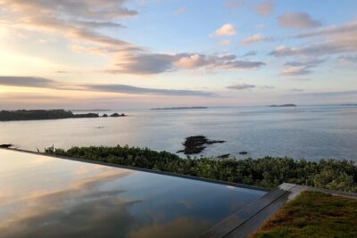 Waiheke Island Premium Wine Tour with Tastings