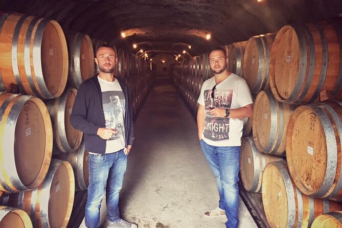 Waiheke Island Premium Wine Tour with Tastings - Why the guide matters so much
