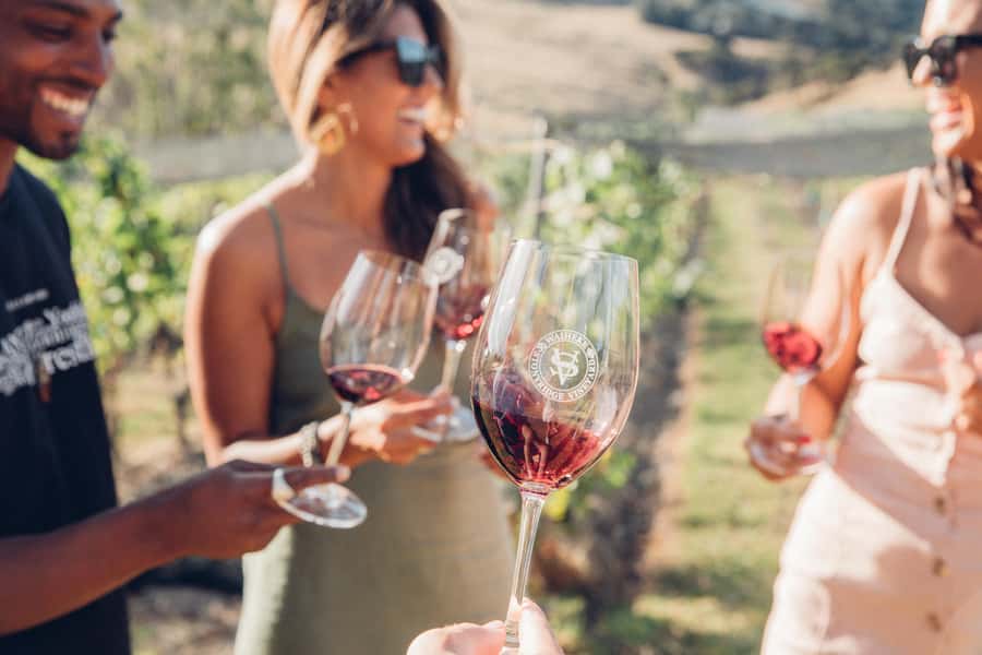Waiheke Island: Scenic Island Wine Tour & Local Wine Tasting - Key Points Before You Book