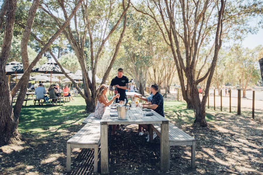 Waiheke Island: Scenic Island Wine Tour & Local Wine Tasting - Practical Tips for a Better Day