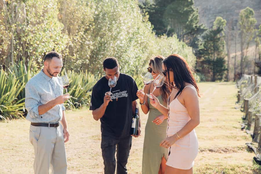 Waiheke Island: Scenic Island Wine Tour & Local Wine Tasting - Why Waiheke Works So Well for a Wine Day
