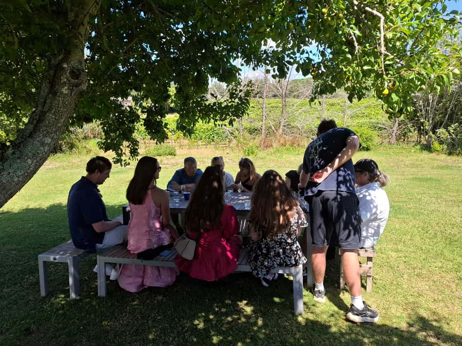 Waiheke Island: Sip and Savor 3 Vineyards Tour with Lunch - Why the small vehicle matters